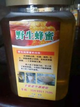 圖片 1